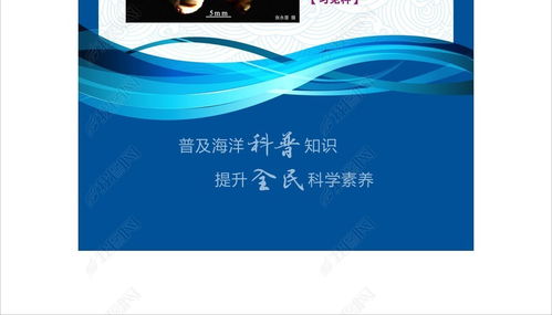 藍色海洋科普圖文展易拉寶設計全攻略 從創(chuàng)意到成品的視覺盛宴